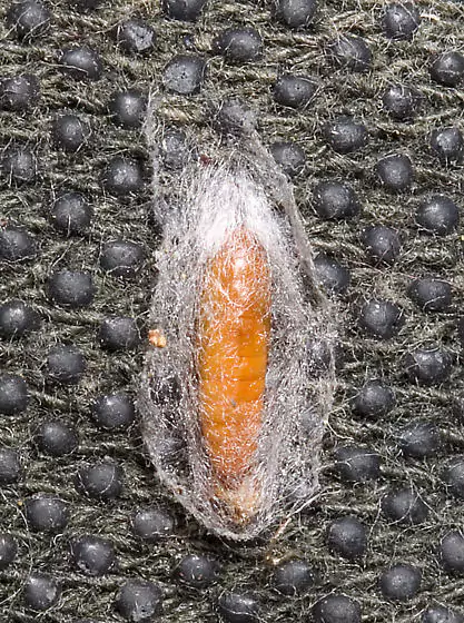 gqa0pq10vqpk4kok7k1k5kck8kbkgkakaqd00k6k8qd0rkpkgqc0lkukpqlsvqy08qt0gqb0gqb09qj0wqdk9qa0-min