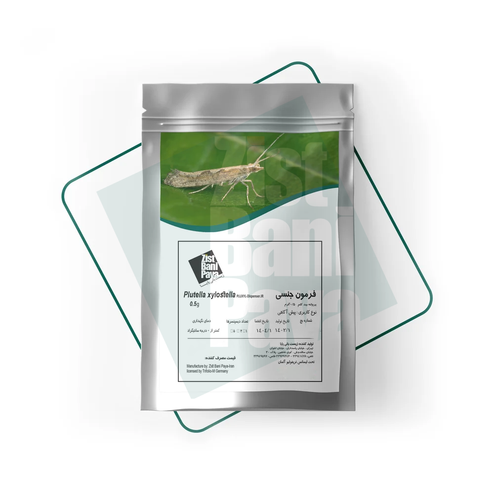 plutella-xylostella plutella-xylostella