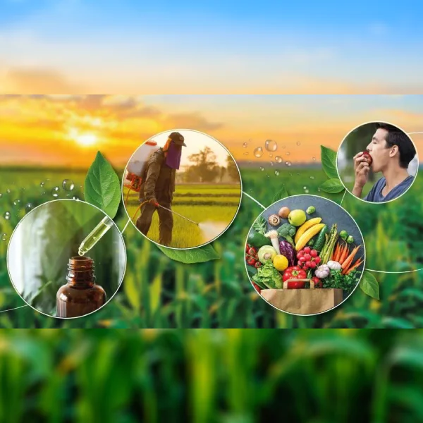 چرخه سالم استفاده از عصاره‌ها و سموم طبیعی برای تولید میوه‌های سالم و قابل مصرف
